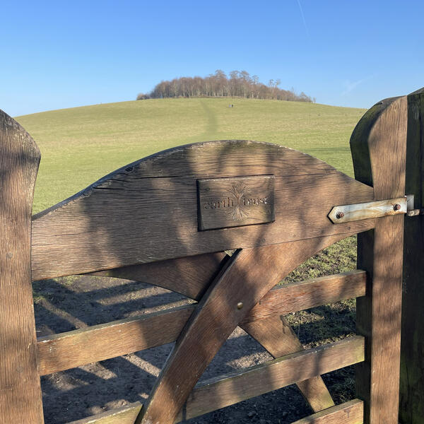 a person writing in a journal